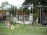 Peiter Assessoria Imobili�ria - Casa 3 Dorm (2685) - Foto 2