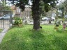 Peiter Assessoria Imobili�ria - Casa 3 Dorm (2685) - Foto 3
