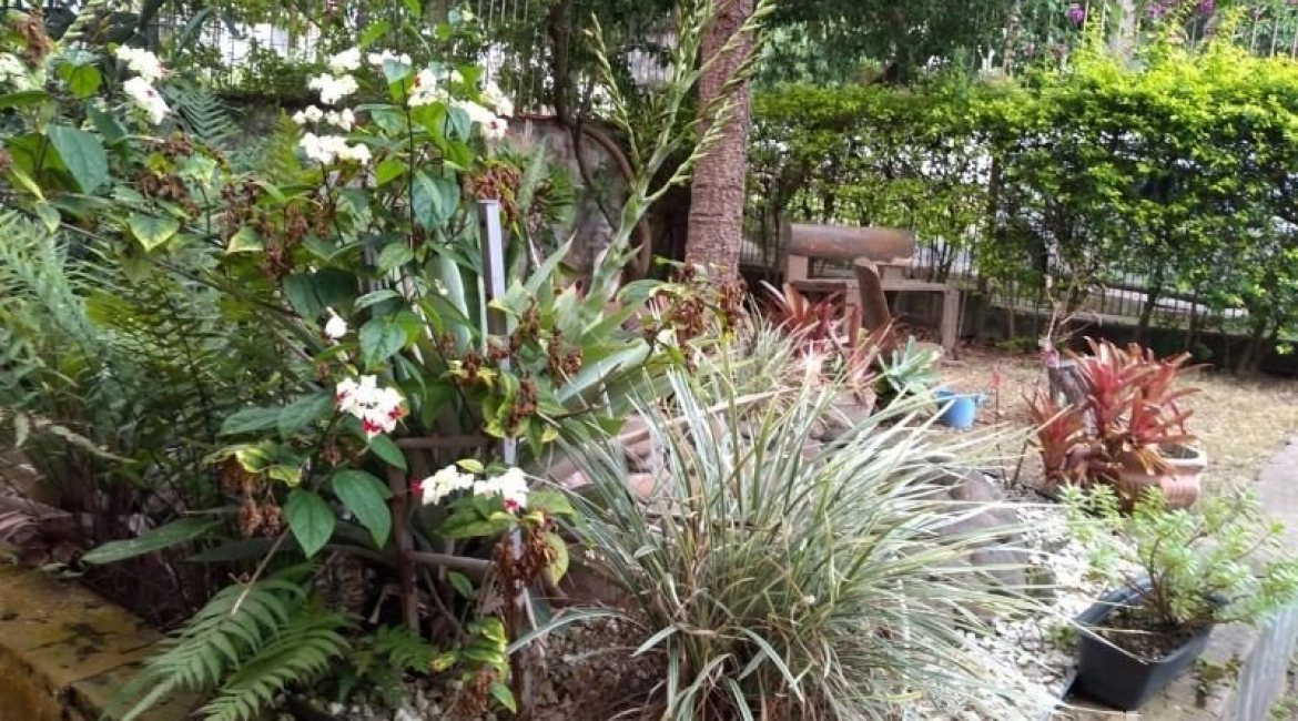 Casa à venda com 400m², 6 dormitórios, 1 suíte, 2 vagas, no bairro Tristeza em Porto Alegre