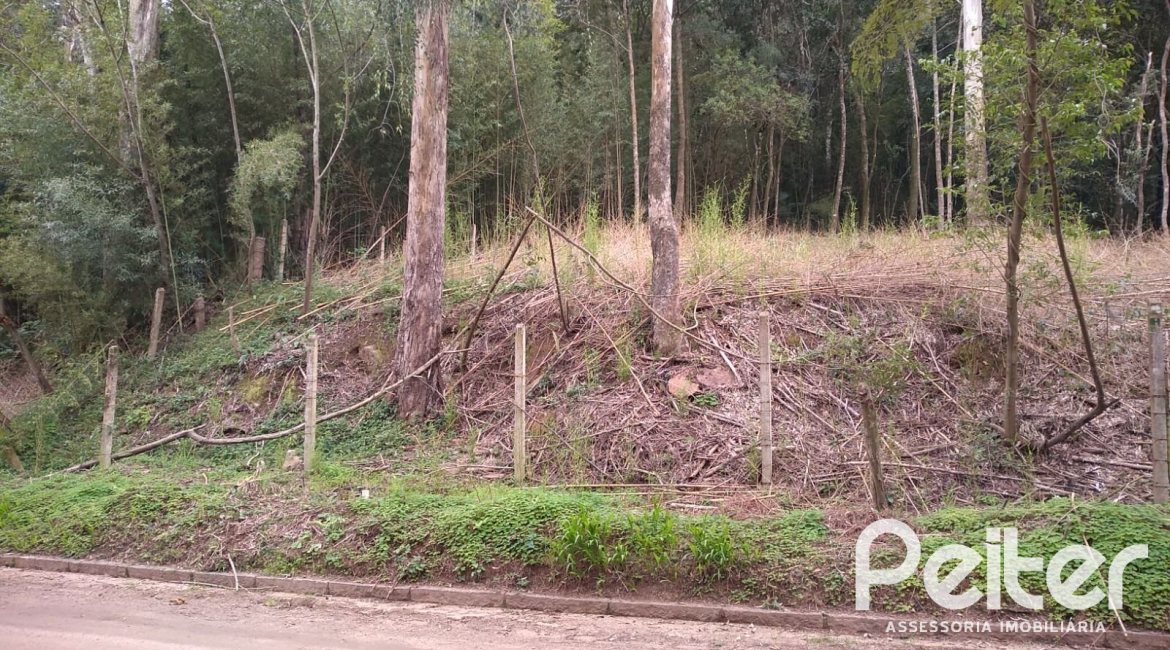 Terreno à venda com 904m², no bairro Ponta Grossa em Porto Alegre