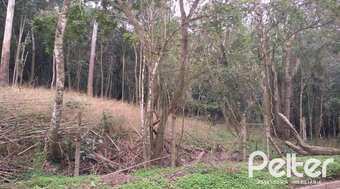 Terreno à venda com 904m², no bairro Ponta Grossa em Porto Alegre