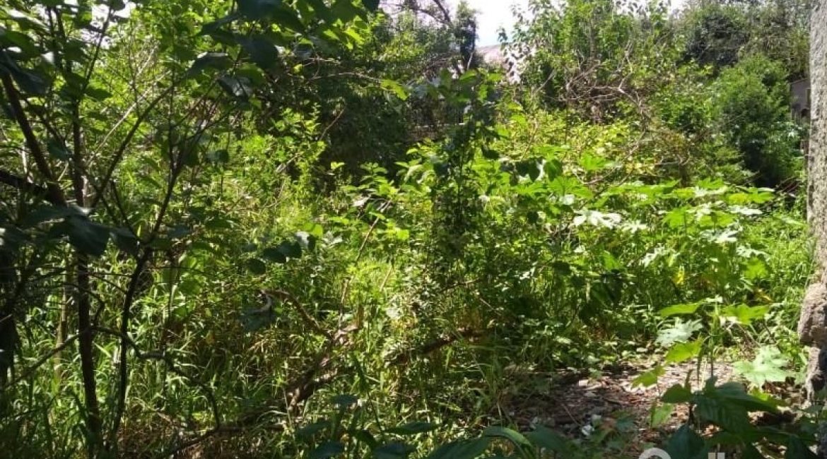 Terreno à venda com 726m², no bairro Tristeza em Porto Alegre