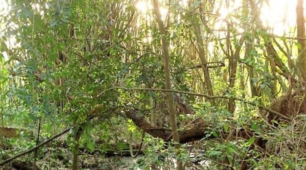 Terreno à venda com 3750m², no bairro Vila Nova em Porto Alegre