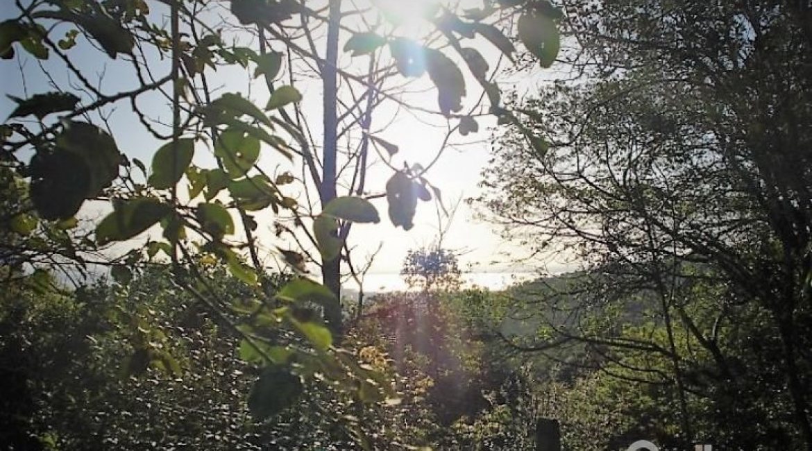 Terreno à venda com 3750m², no bairro Vila Nova em Porto Alegre