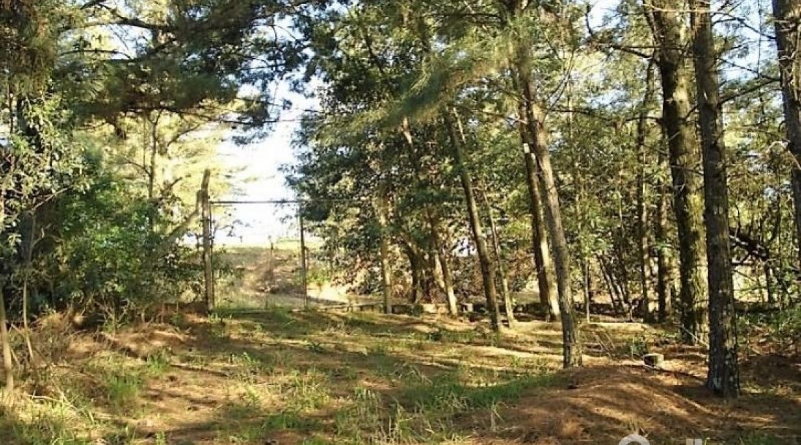 Terreno à venda com 3750m², no bairro Vila Nova em Porto Alegre