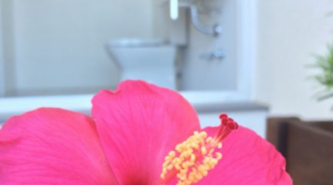 Casa em Condomínio à venda com 258m², 2 dormitórios, 2 suítes, 3 vagas, no bairro Hípica em Porto Alegre