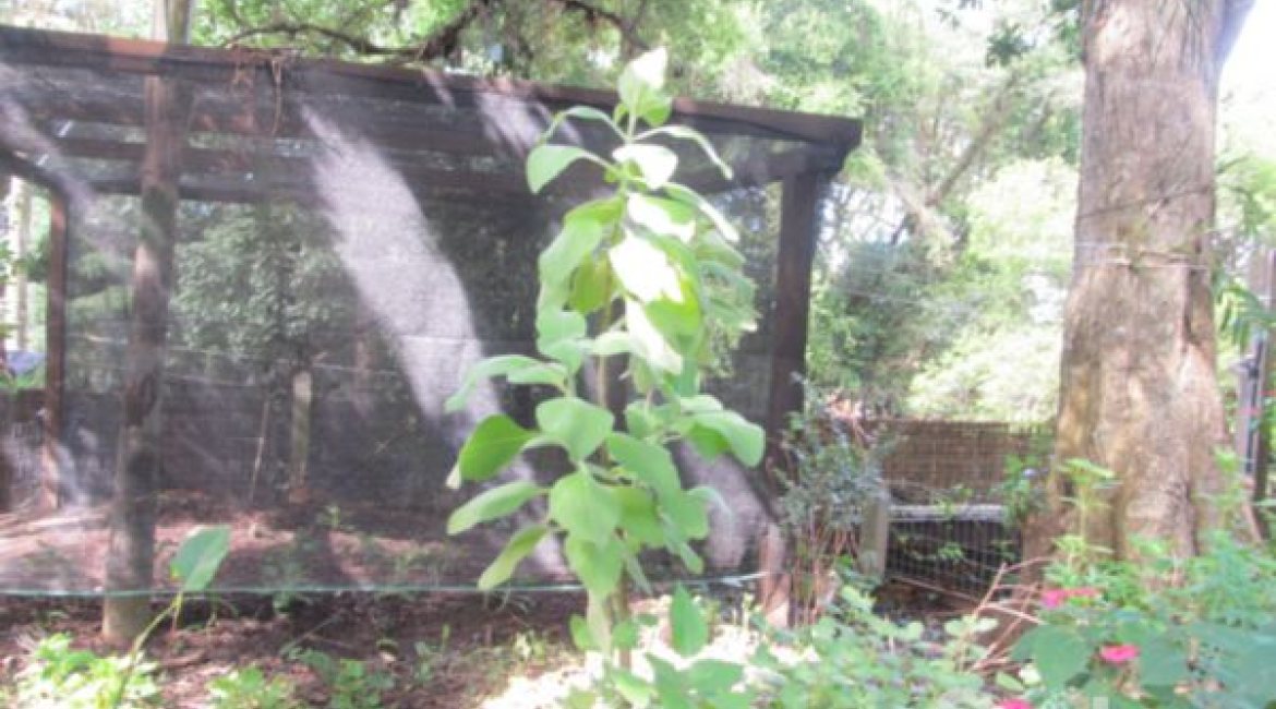 Casa à venda com 600m², 7 dormitórios, 3 suítes, 3 vagas, no bairro Espírito Santo em Porto Alegre