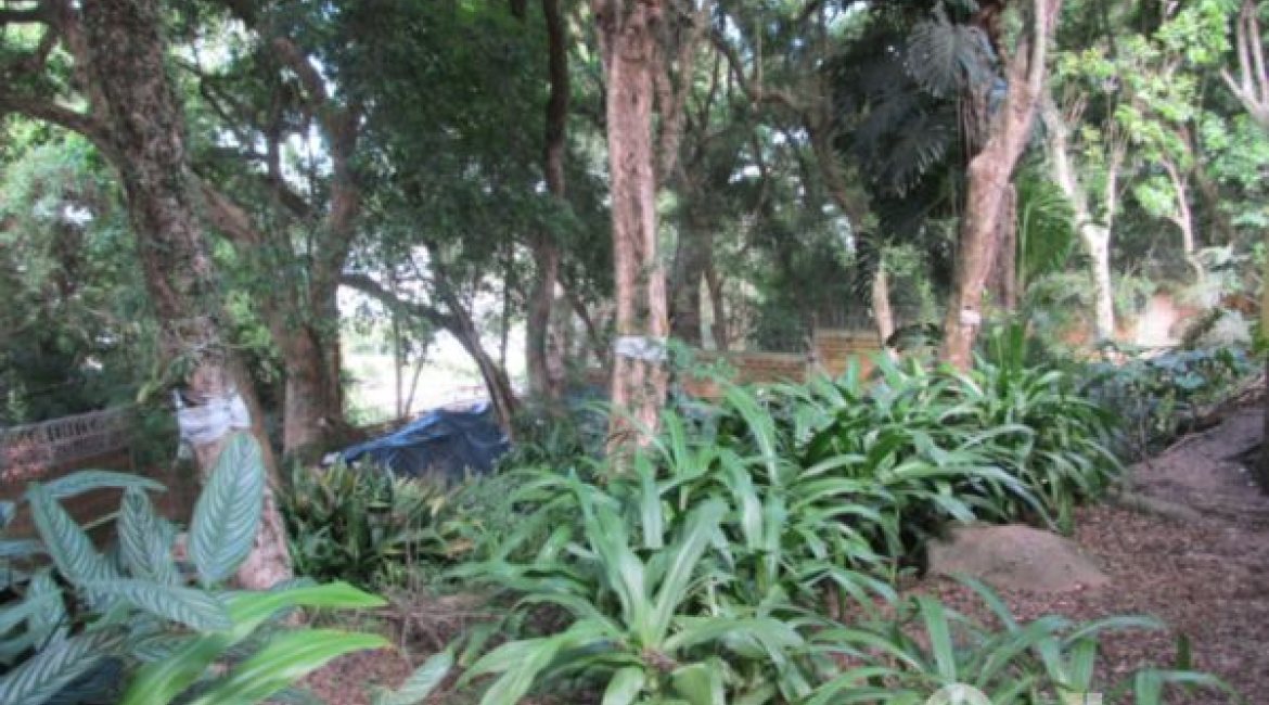 Casa à venda com 600m², 7 dormitórios, 3 suítes, 3 vagas, no bairro Espírito Santo em Porto Alegre