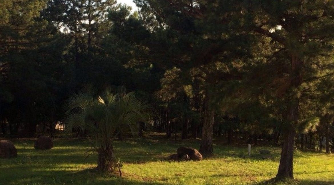 Terreno à venda, no bairro Ipanema / Altos Sta. Rita em Porto Alegre