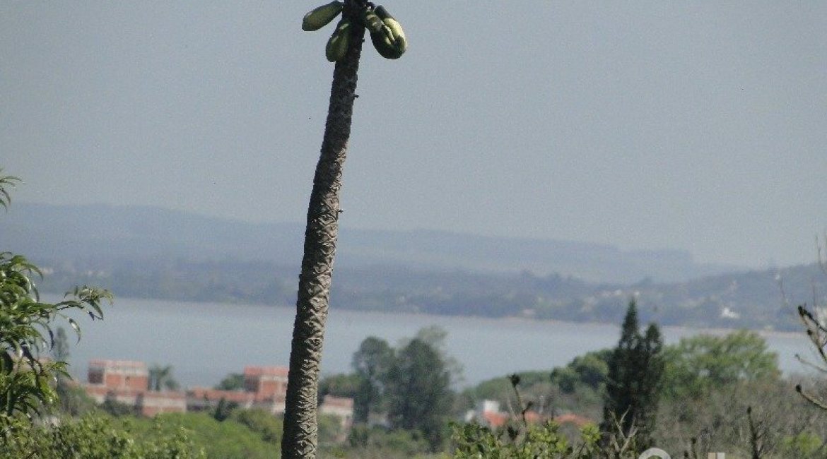 Casa em Condomínio à venda com 288m², 4 dormitórios, 2 suítes, 2 vagas, no bairro Knorr em Porto Alegre
