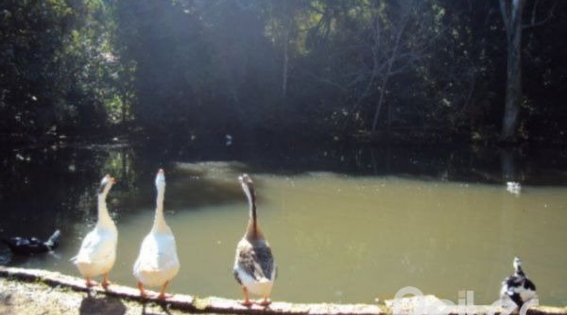 Casa em Condomínio à venda com 288m², 4 dormitórios, 2 suítes, 2 vagas, no bairro Knorr em Porto Alegre