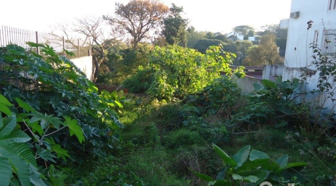 Terreno à venda, no bairro Sétimo Céu em Porto Alegre