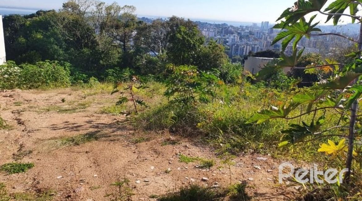 Terreno à venda, no bairro Sétimo Céu em Porto Alegre