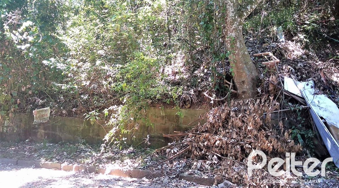 Terreno à venda com 505m², no bairro Sétimo Céu em Porto Alegre