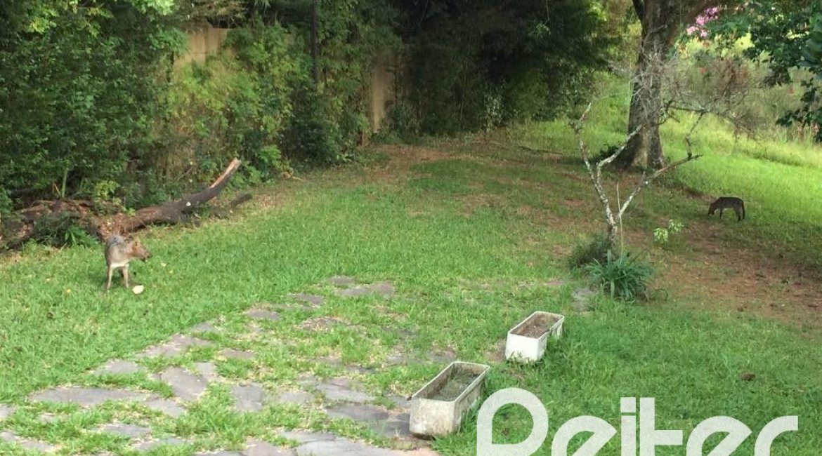 Terreno à venda com 3313m², no bairro Vila Nova em Porto Alegre