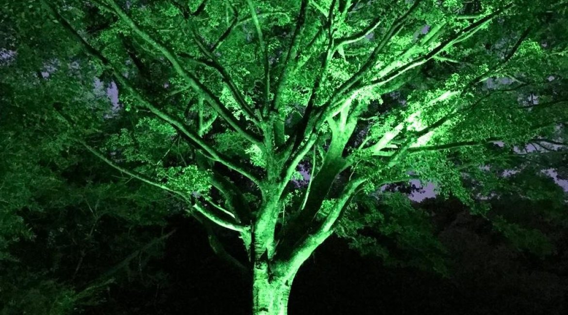 Terreno à venda com 3313m², no bairro Vila Nova em Porto Alegre