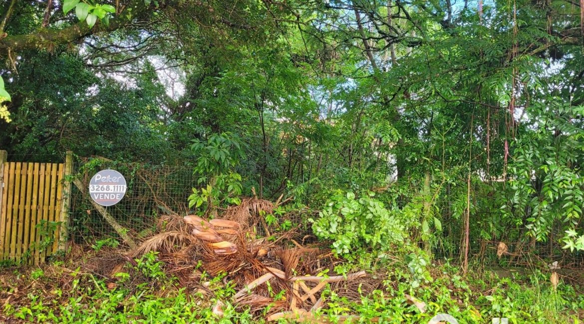Terreno à venda com 300m², no bairro Ipanema em Porto Alegre