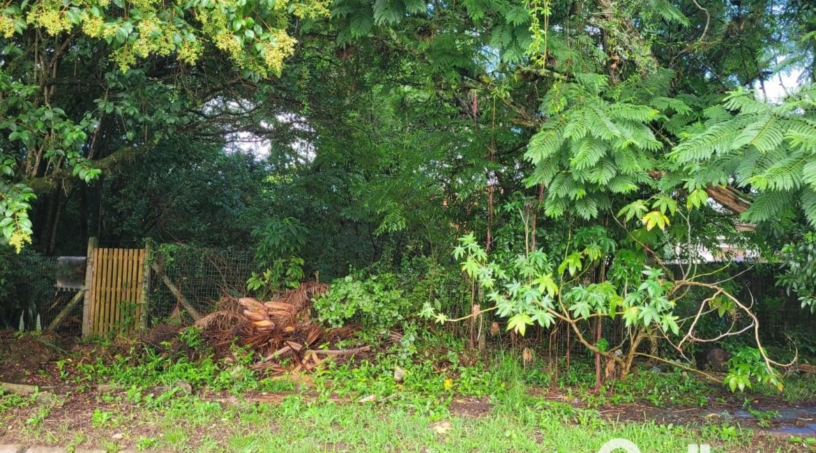 Terreno à venda com 300m², no bairro Ipanema em Porto Alegre