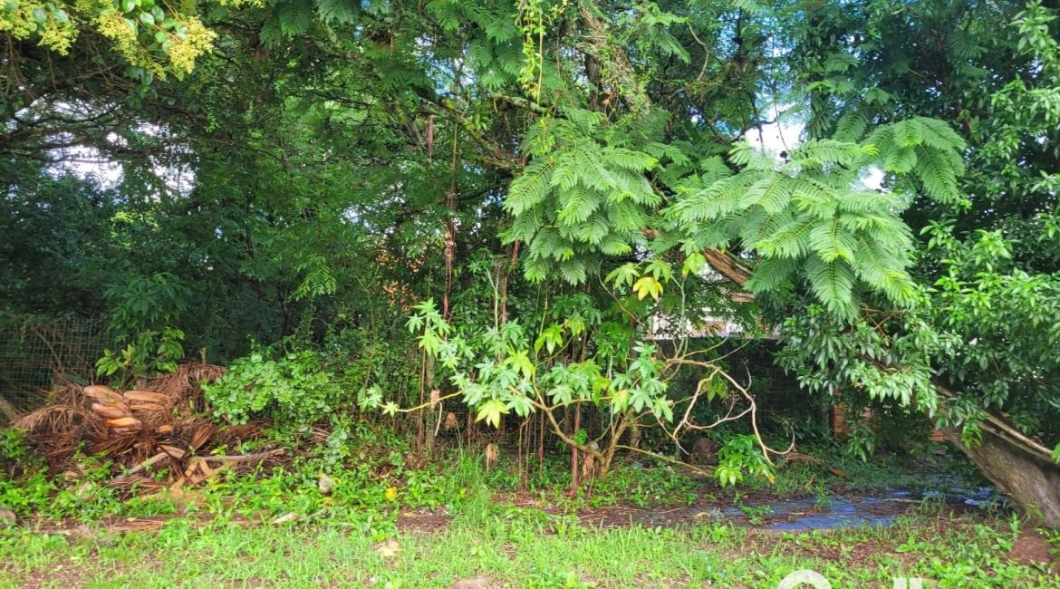 Terreno à venda com 300m², no bairro Ipanema em Porto Alegre