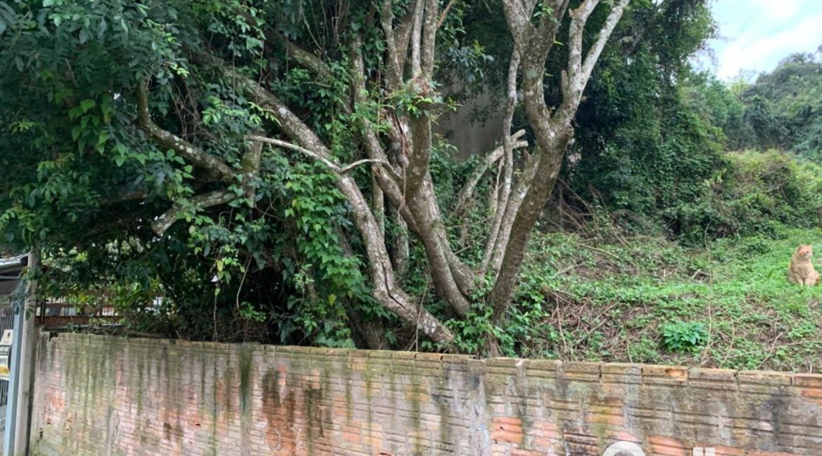 Terreno à venda com 2860m², no bairro Jardim Isabel em Porto Alegre