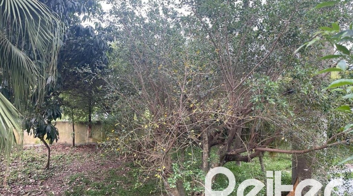 Casa à venda com 397m², 4 dormitórios, 1 suíte, 4 vagas, no bairro Sétimo Céu em Porto Alegre