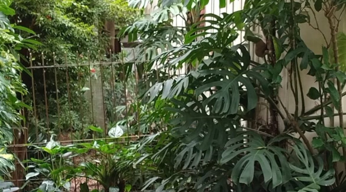 Terreno à venda com 715m², no bairro Tristeza em Porto Alegre