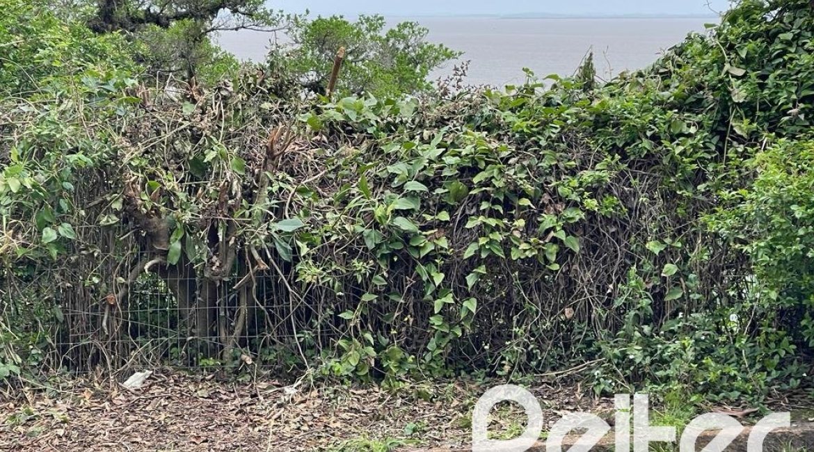 Terreno à venda com 2162m², no bairro Sétimo Céu em Porto Alegre