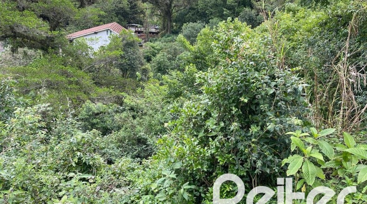 Terreno à venda com 2162m², no bairro Sétimo Céu em Porto Alegre