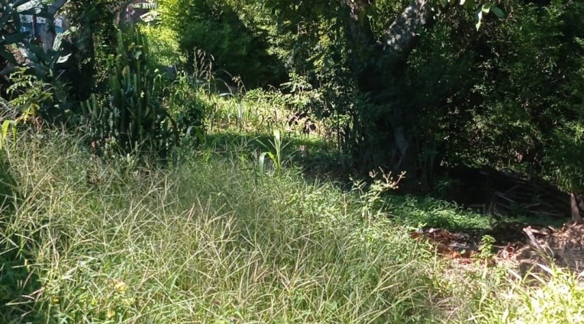 Terreno à venda com 1884m², no bairro Tristeza em Porto Alegre