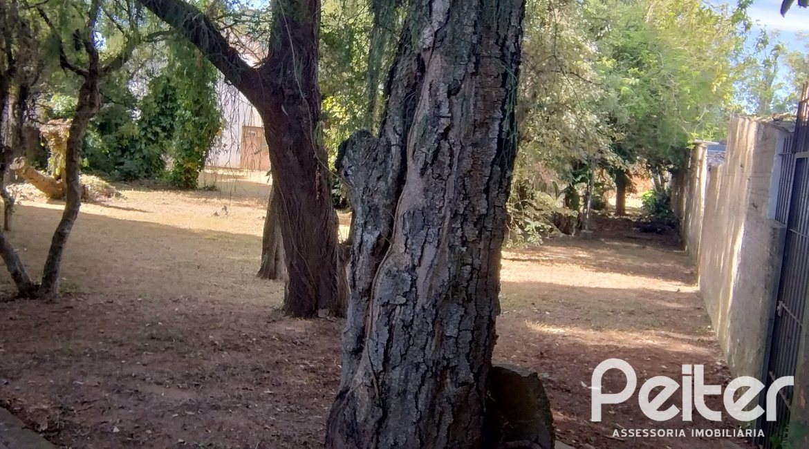 Terreno à venda com 446m², no bairro Guarujá em Porto Alegre