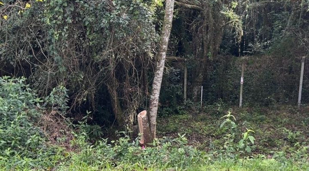 Terreno em condomínio à venda com 276m², no bairro Vila Nova em Porto Alegre