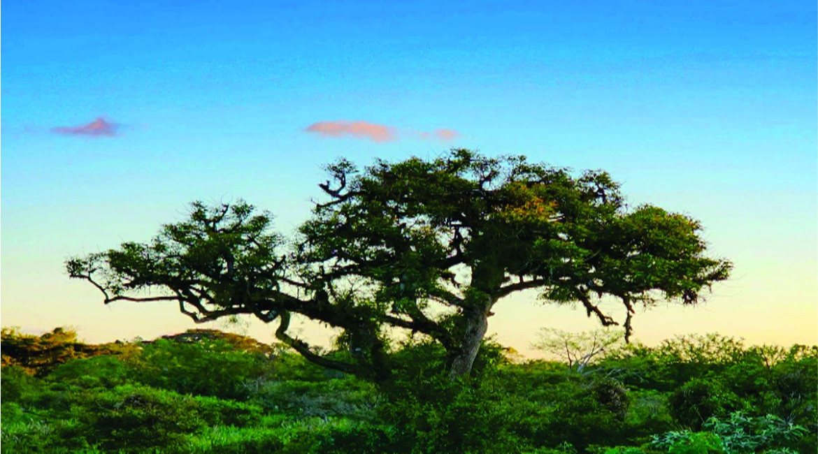 Terreno em condomínio à venda com 147m², no bairro Hípica em Porto Alegre