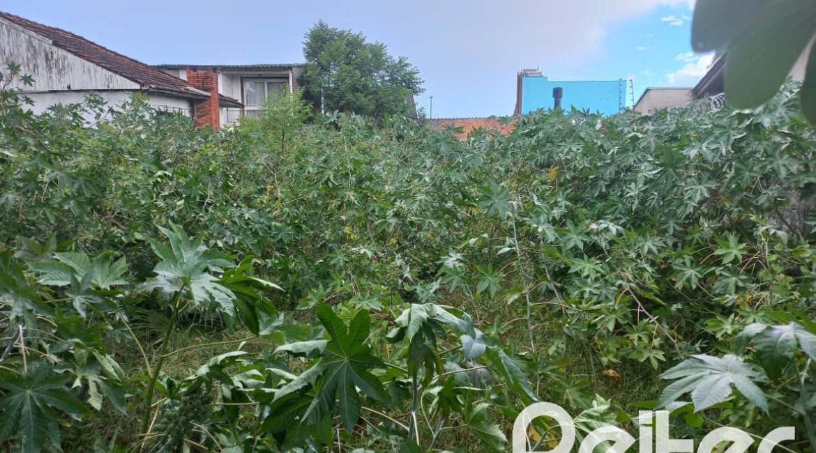 Terreno à venda com 335m², no bairro Cavalhada em Porto Alegre
