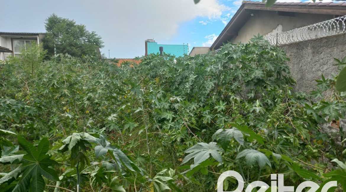 Terreno à venda com 335m², no bairro Cavalhada em Porto Alegre