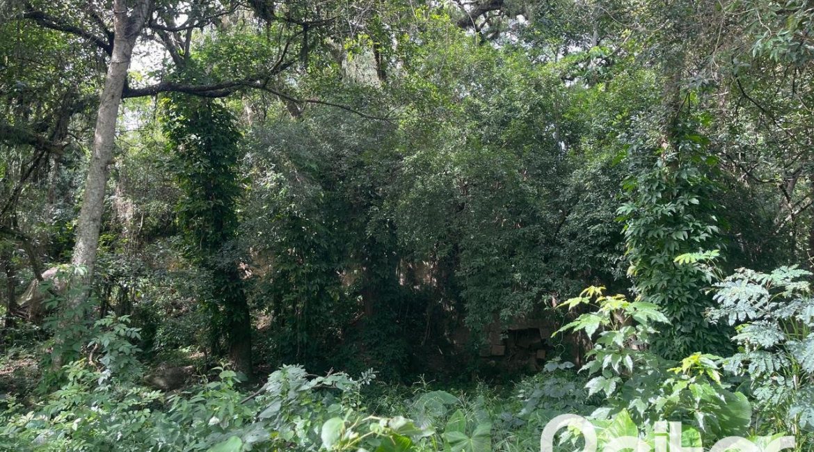 Terreno à venda com 1173m², no bairro Ipanema em Porto Alegre