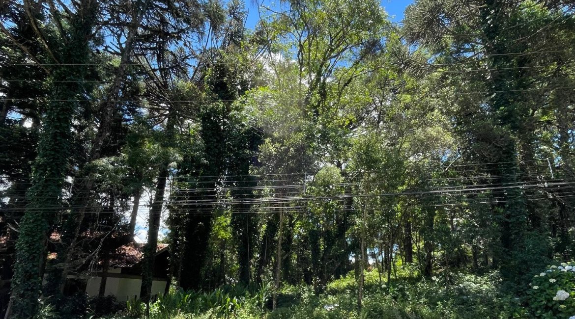Terreno à venda com 1760m², no bairro Planalto em Gramado