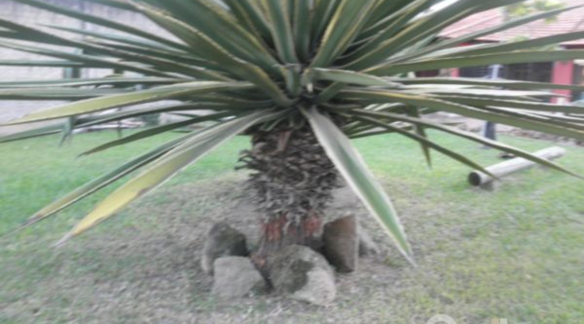 Terreno à venda, no bairro Guarujá em Porto Alegre