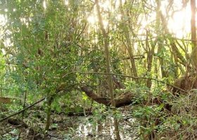 Terreno à venda com 3750m², no bairro Vila Nova em Porto Alegre