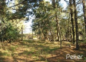 Terreno à venda com 3750m², no bairro Vila Nova em Porto Alegre