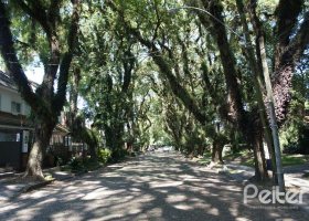 Casa em Condomínio à venda com 230m², 3 dormitórios, 1 suíte, 2 vagas, no bairro Jardim Isabel em Porto Alegre