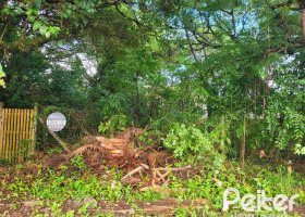 Terreno à venda com 300m², no bairro Ipanema em Porto Alegre