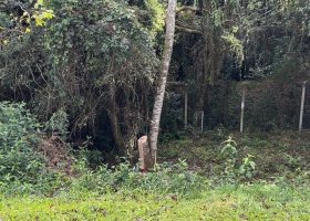 Terreno em condomínio à venda com 276m², no bairro Vila Nova em Porto Alegre
