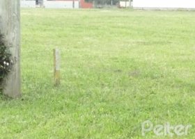 Terreno em condomínio à venda, no bairro Terra Ville em PORTO ALEGRE