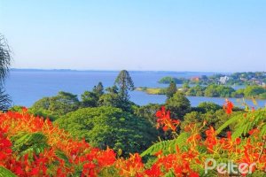  à venda, no bairro  em 