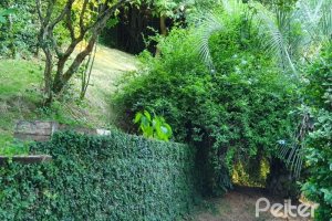  à venda, no bairro  em 