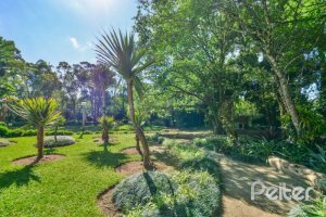 Comercial à venda com 1000m², no bairro Chapéu do Sol em Porto Alegre