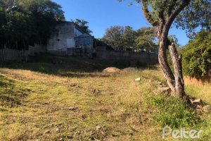 Terreno à venda, no bairro Jardim Isabel em Porto Alegre