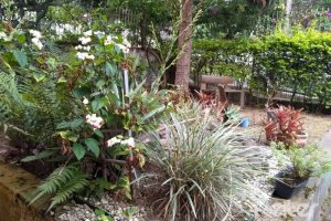 Casa à venda com 400m², 6 dormitórios, 1 suíte, 2 vagas, no bairro Tristeza em Porto Alegre