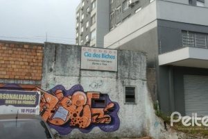 Terreno à venda com 704m², no bairro Cristal em Porto Alegre