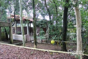 Casa à venda com 354m², 3 dormitórios, 2 suítes, 4 vagas, no bairro Ipanema em Porto Alegre